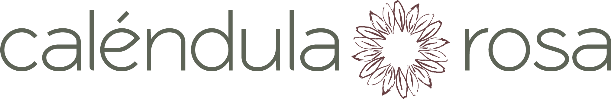 logo web CR